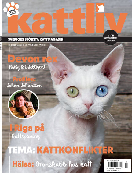 Kattliv