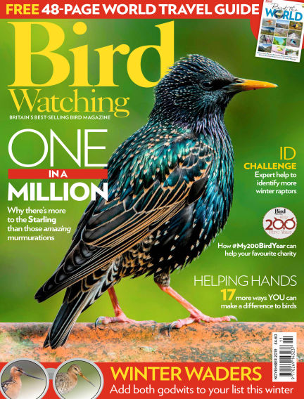 24 October, 2019 - Bird Watching Magazine - 1000's of magazines in one app
