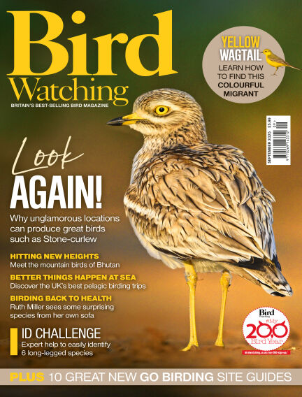 Bird Watching