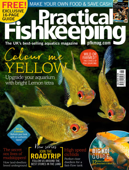 practical fishkeeping subscription best