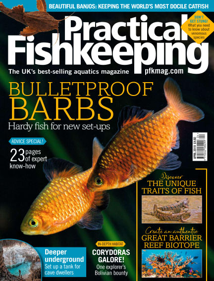 practical fishkeeping subscription best