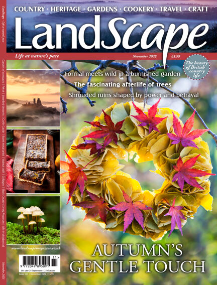 Landscape