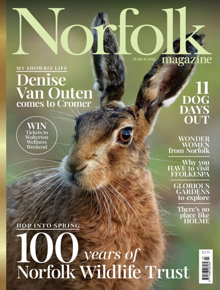 Norfolk Magazine