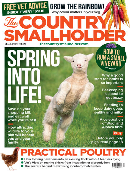 Animals & Equestrian