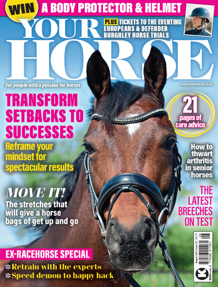 Your Horse