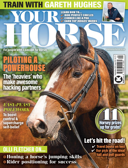 Your Horse