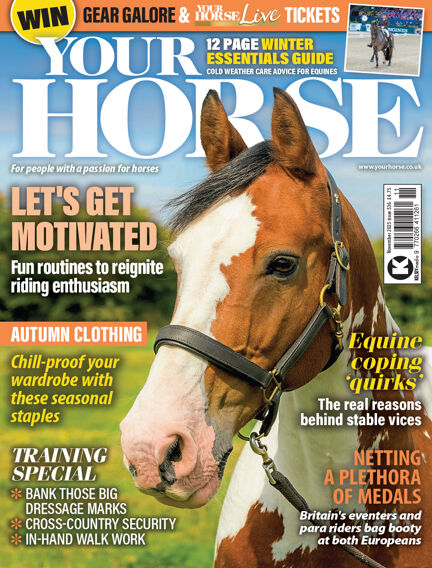 Your Horse