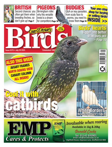 Cage & Aviary Birds