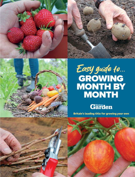 Gardening’s Easy Guides