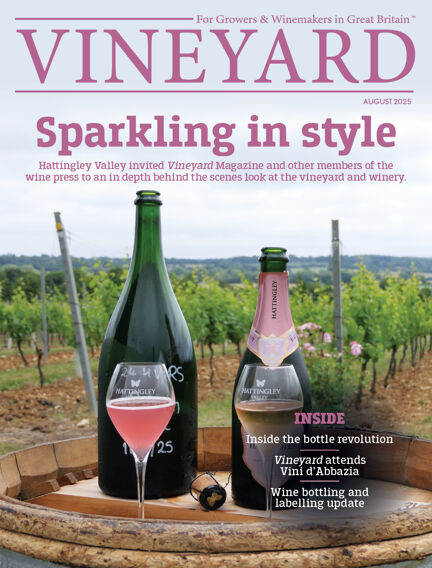 Vineyard