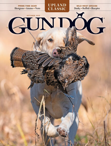 Gun Dog