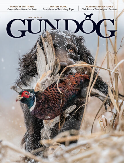 Gun Dog