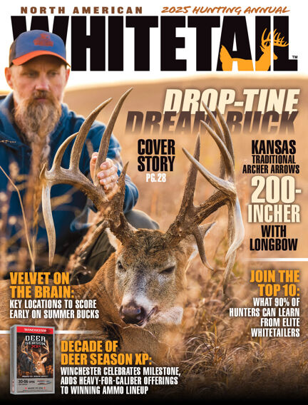 North American Whitetail