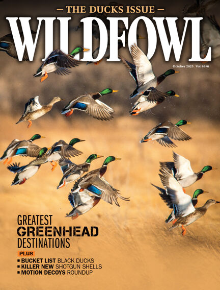 Wildfowl