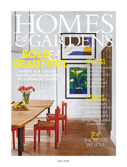 Home & Renovation