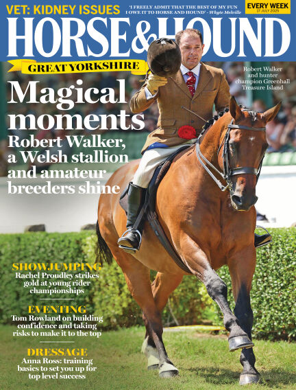 Animals & Equestrian