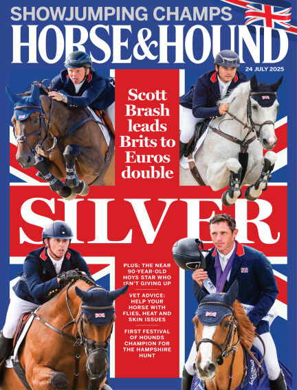 Animals & Equestrian