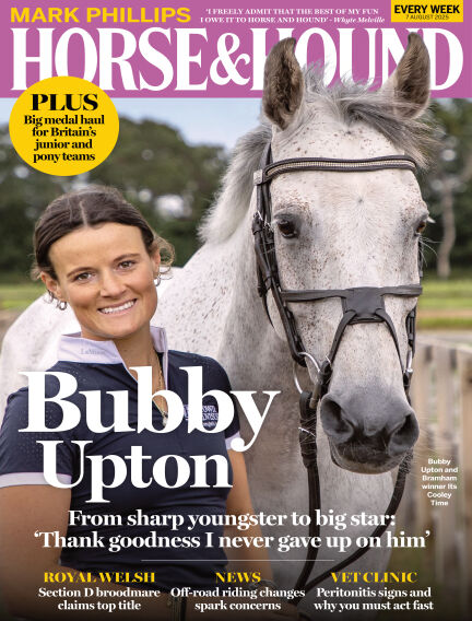 Animals & Equestrian
