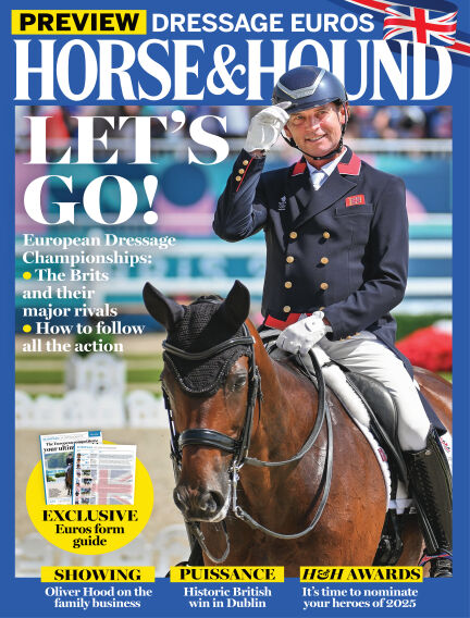 Animals & Equestrian