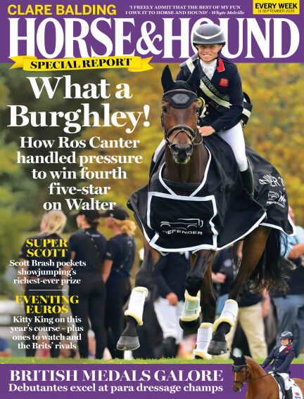 Animals & Equestrian