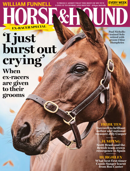 Animals & Equestrian