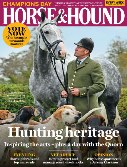 Animals & Equestrian