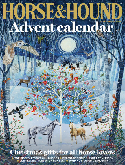 Animals & Equestrian