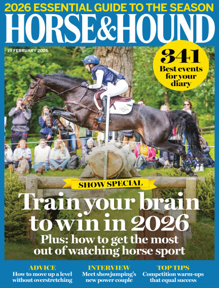 Animals & Equestrian