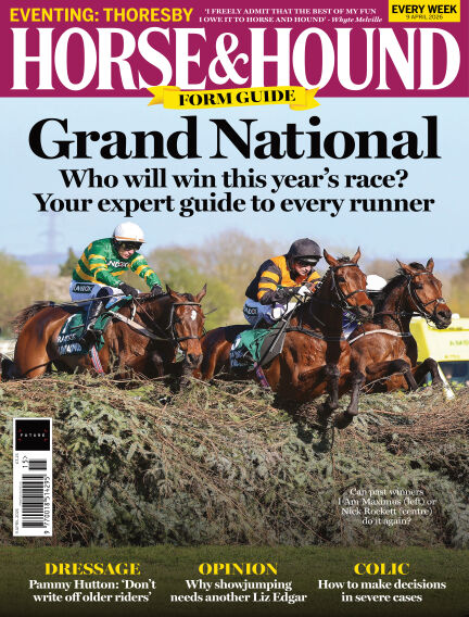 Animals & Equestrian