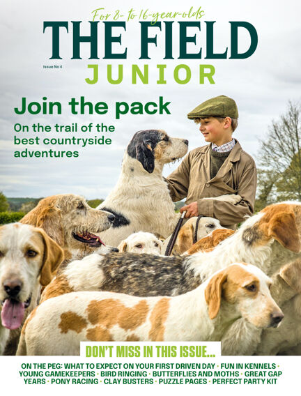The Field Junior
