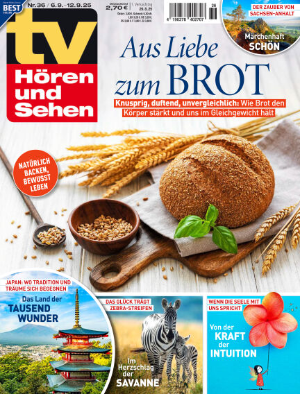 TV Hören und Sehen
