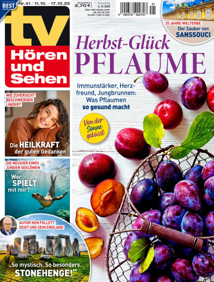 TV Hören und Sehen
