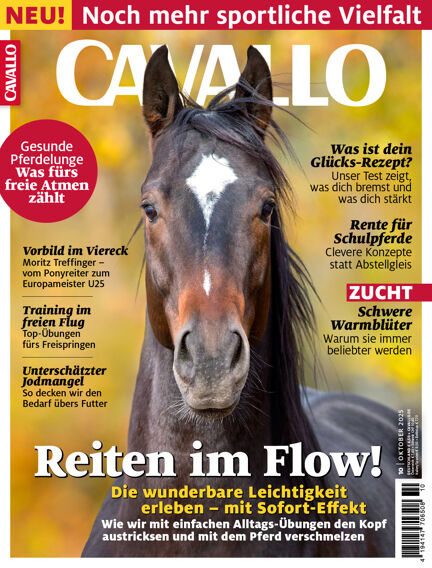 CAVALLO