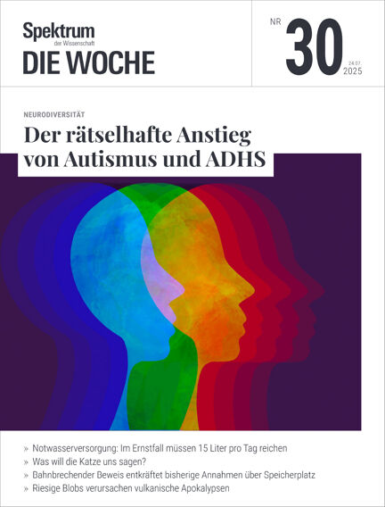 Bildung & Guides