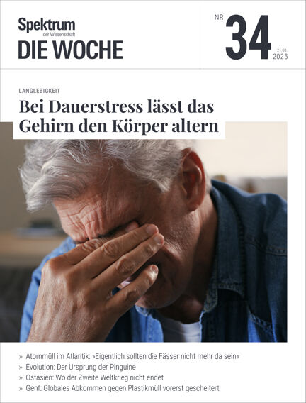 Bildung & Guides