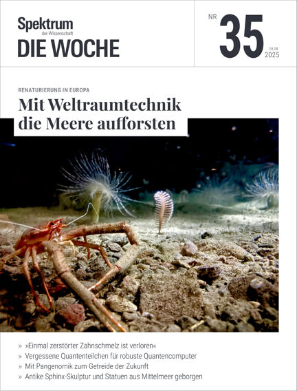 Bildung & Guides