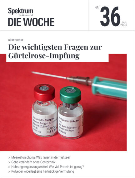 Bildung & Guides