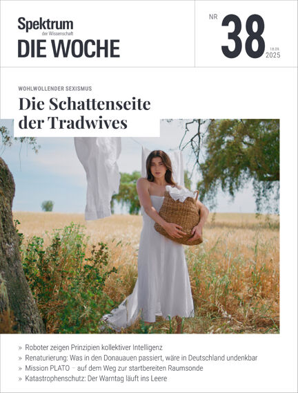 Bildung & Guides