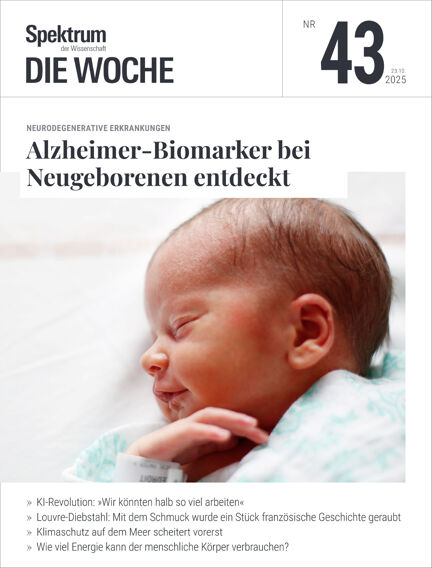 Bildung & Guides