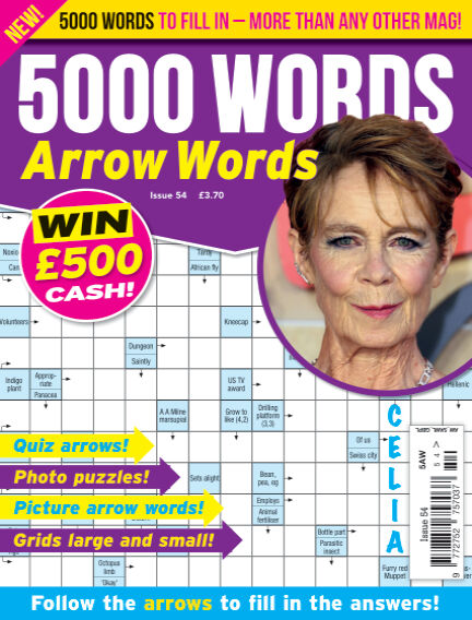 5000 Words Arrow words
