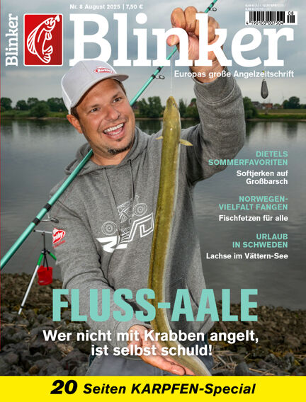 Blinker