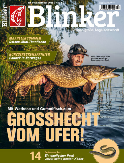 Blinker