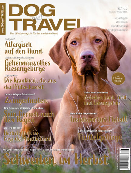 DOGandTRAVEL