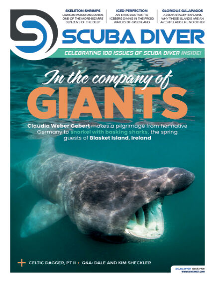 Scuba Diver