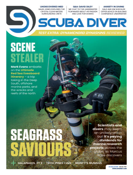 Scuba Diver