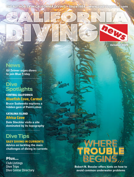 California Diving News