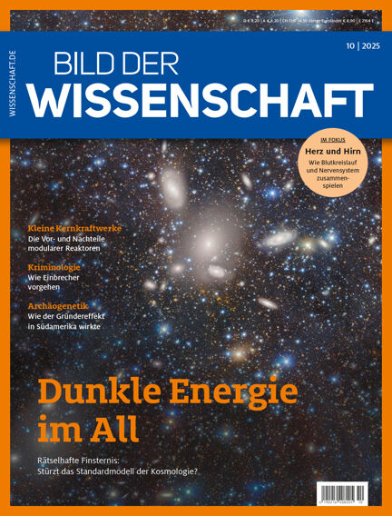 Bildung & Guides