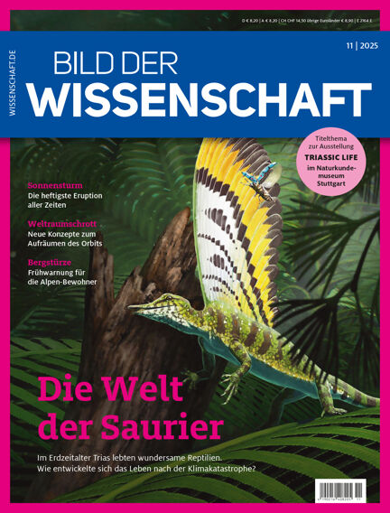 Bildung & Guides