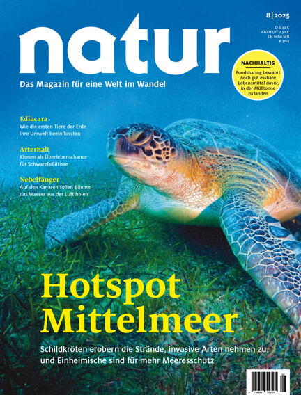Wissenschaft