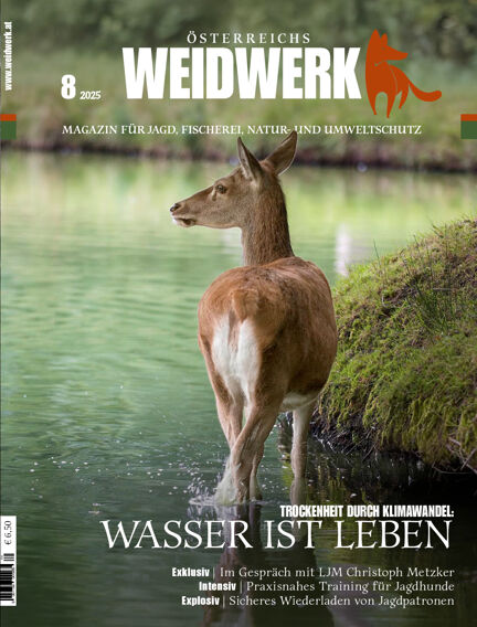 WEIDWERK